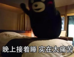 张晚意的剧免检（《快活再启航·山海季》炎热开播走向国际开启文明相易新篇章），张晚意超话—新浪微博超话社区