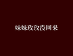 玫玫mm,MM应用深度解析