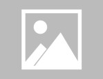 张洛洛,从电报机发报员到海外职工生命安全守护者