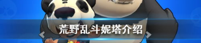 熊暴尼,揭秘神秘生物的传奇故事