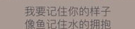 董一涵,清纯歌声与网络争议的交织人生”